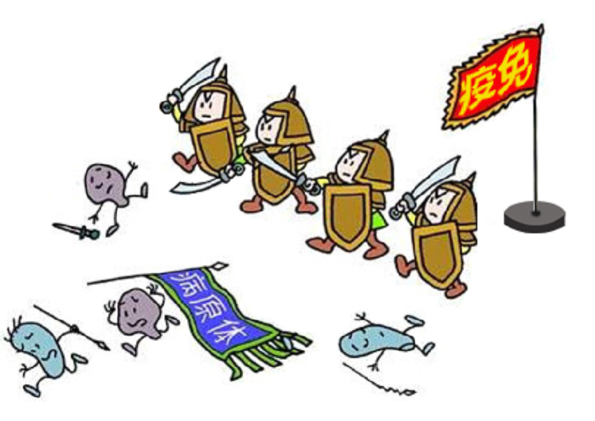图片6.png