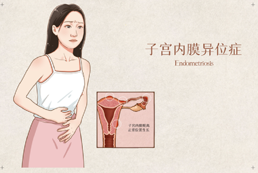 微信图片_20230915204109.png