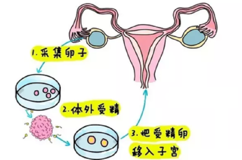 微信图片_20231008215253.png