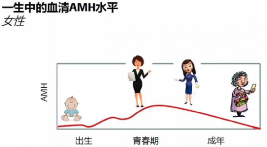 微信图片_20231020215357.png