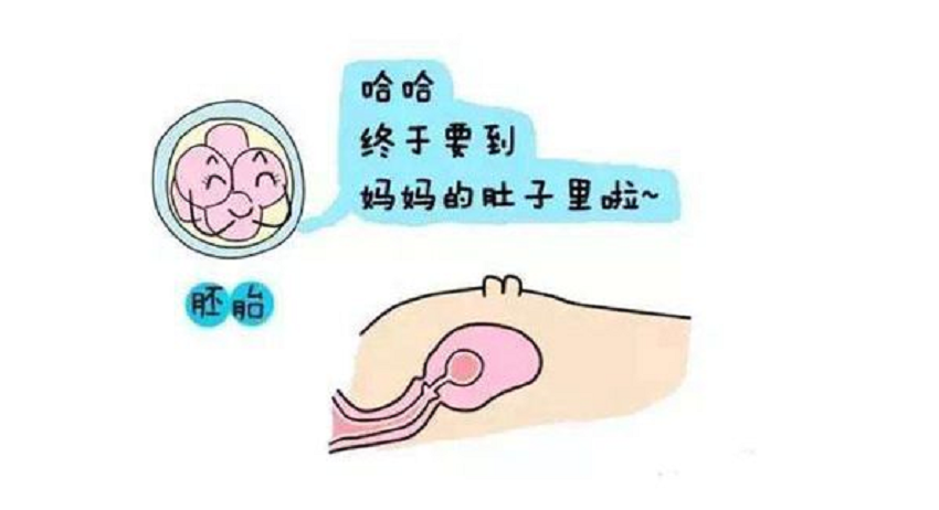 11.png