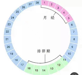 图片8.png