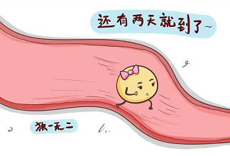 图片9.png