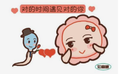 图片9.png