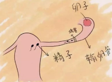 图片8.png