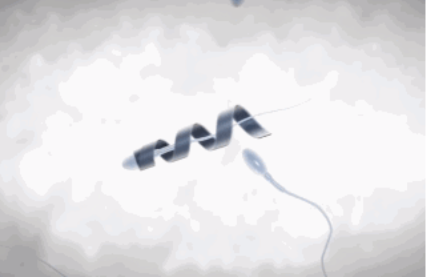 图片21.png