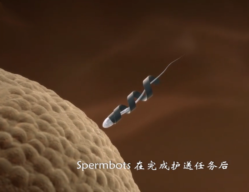 图片22.png