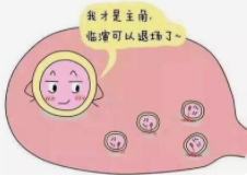 图片8.png