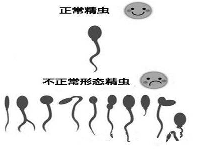 图片21.png