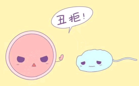 图片23.png